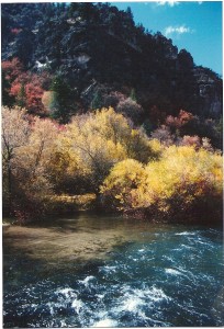 photo of river in a canyon