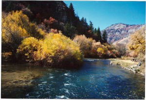 photo of river in a canyon