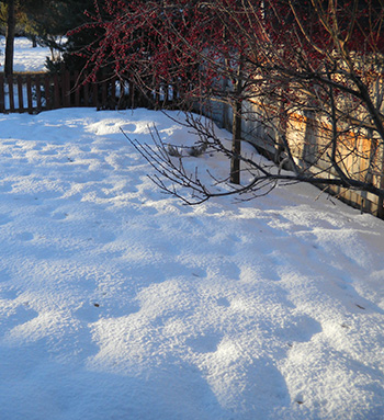 Photo of snow with purple shadows and orange sunspots